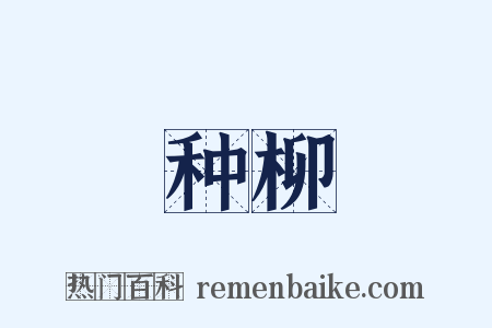 种柳是什么意思的图片